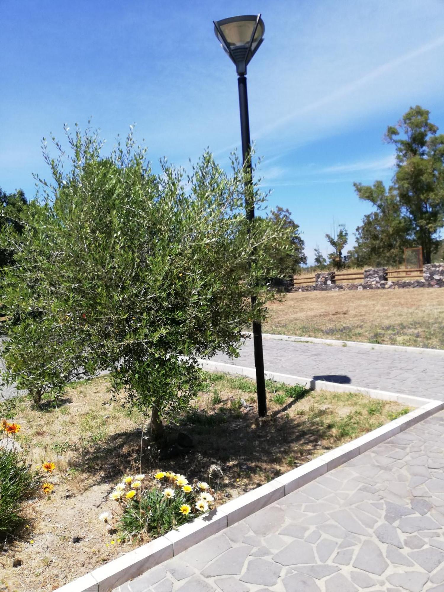 Marrubiu Resort Note Di Stelle Exterior photo